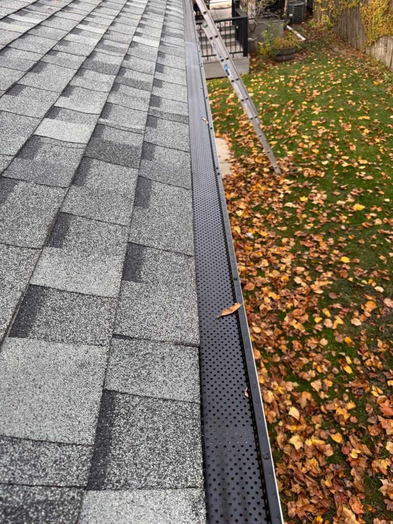 Gutter Santiago Inc - Leaf Guard installation in chicago, illinois